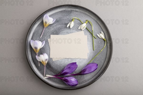 Gray paper invitation card, mockup with crocus and galanthus flowers on ceramic plate and gray