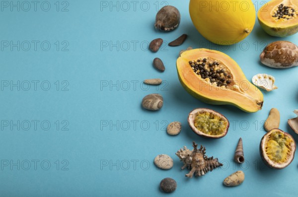 Ripe cut papaya, melon, passion fruit, seashells, pebbles on blue pastel background. Side view,