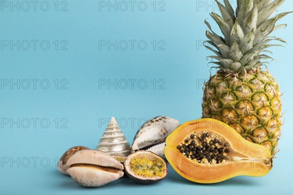 Ripe cut papaya, pineapple, passion fruit, seashells on blue pastel background. Side view, copy