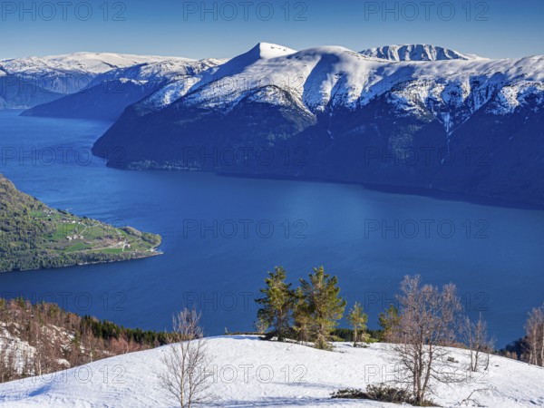 View from Mt. Molden, over the Lustrafjord, inner branch of Sognefjord, tongue of land of Urnes,