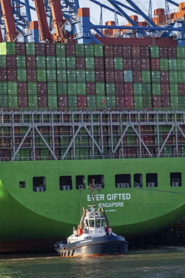 Container ship Ever Gifted, arriving at the port of Hamburg, Waltershofer Hafen, HHLA Container