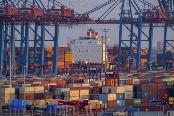 Container terminal Tollerort, container ships are loaded and unloaded, one of 4 container terminals