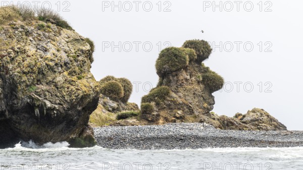 Natural Heritage Site Islotes de Punihuil, Punihuil, Chiloe, Chile, South America