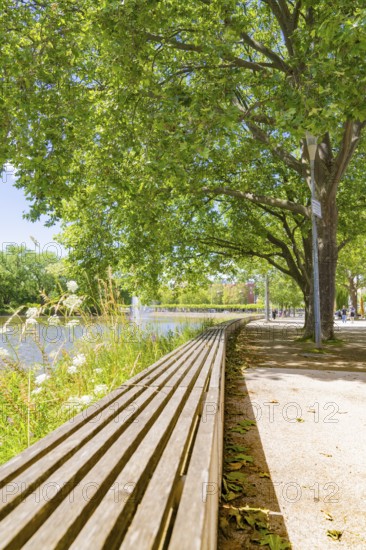 Long wooden bench on the riverbank under a shady tree, Böblingen, Germany, Europe