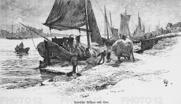 Transport of hay, Selenogradsk or Cranz, Samland, Curonian Spit, Curonian Lagoon, Kaliningrad