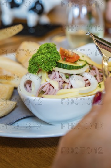 Close-up of sausage salad with onions, cheese and parsley in a bowl, autumn creations, Cafe Kuh,