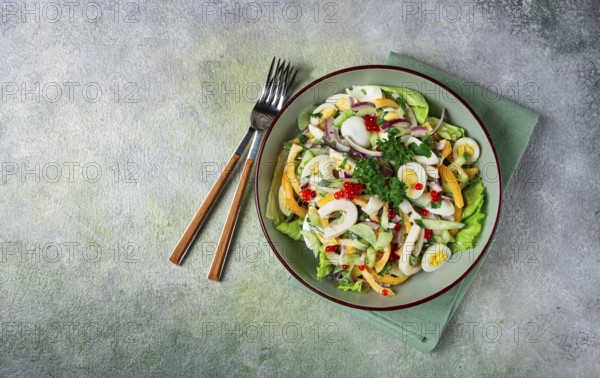 Salad with squid, fresh cucumber, eggs, sweet pepper, red onion, with dressing, homemade, no people