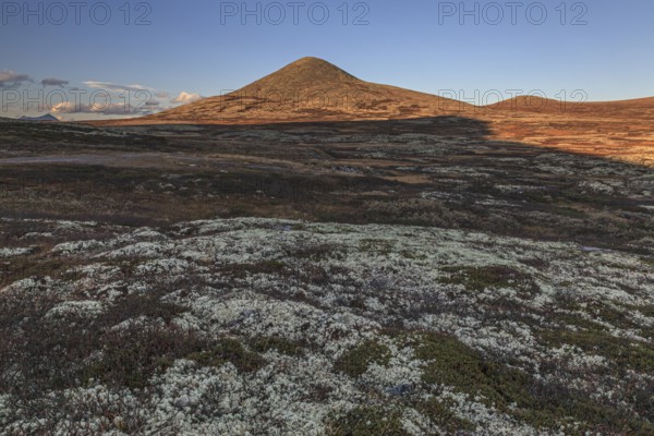 Autumnal tundra in front of a mountain in the evening light, Fjell, Rondane National Park, Norway,