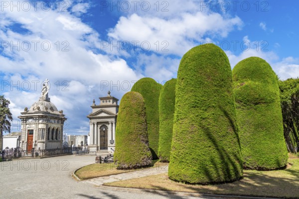 Grave mausoleums and trimmed bushes, historical cemetery Cementerio Sara Braun, city of Punta