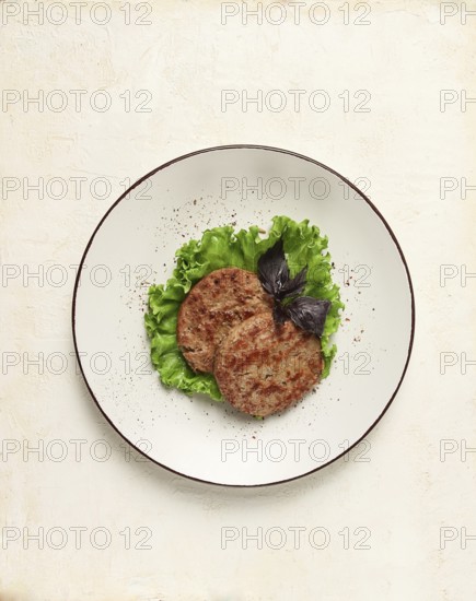 Fried beef patties, top view, no people