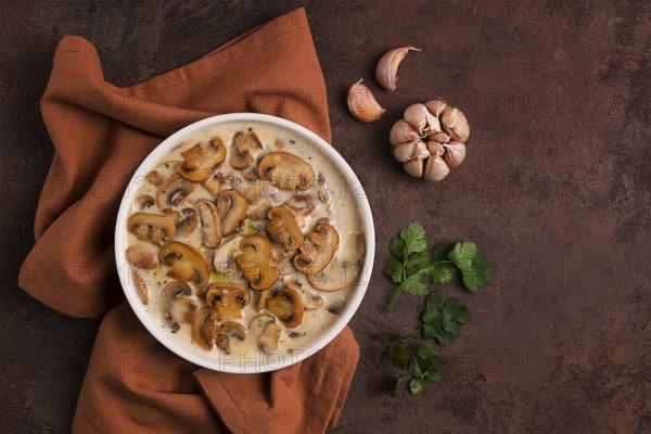 Champignons in creamy garlic sauce, with herbs and spices, gravy, sauce, no people