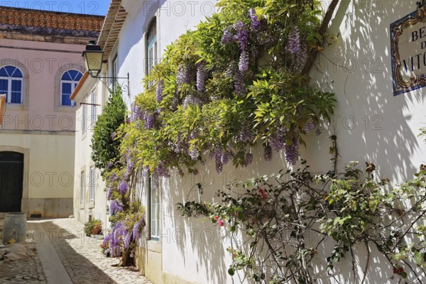 Cascais narrow streets in the old town
