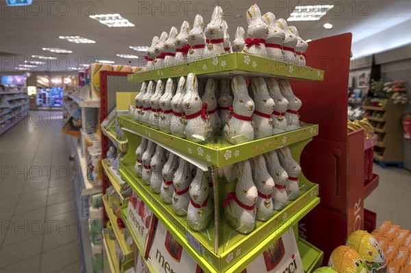 Easter decoration with chocolate bunnies in a supermarket, Mecklenburg-Vorpommern, Germany, Europe