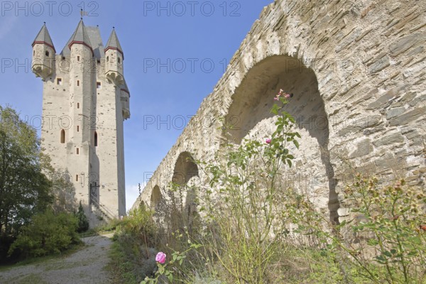 Keep of Nassau Castle built in 1093, Nassau, Rhineland-Palatinate, Germany, Europe