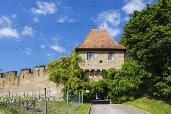 Hohenbeilstein Castle, hilltop castle, Beilstein, Heilbronn district, Baden-Württemberg, Germany,