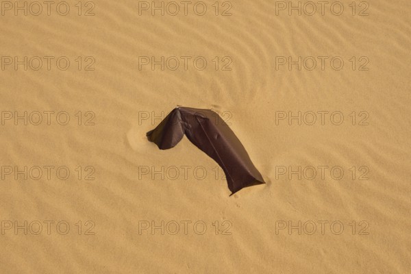 Sheet metal fragment on a sandy surface in the desert, Matruh, Great Sand Sea, Libyan Desert,
