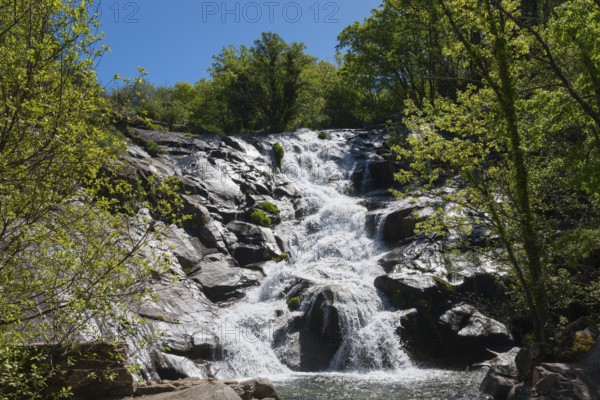 Natural waterfall flowing over stony rocks surrounded by green trees on a sunny day, Cascada del