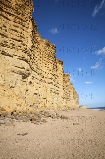 Sandstone cliffs and beach West Bay, Bridport, Dorset, England, UK