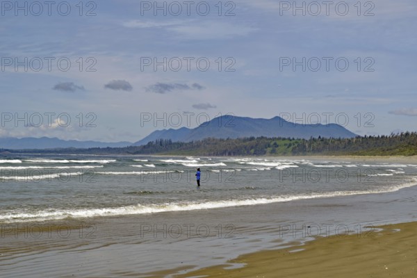 Endless empty sandy beach with swell and mountains in the background, Long Beach, Pacific Rim