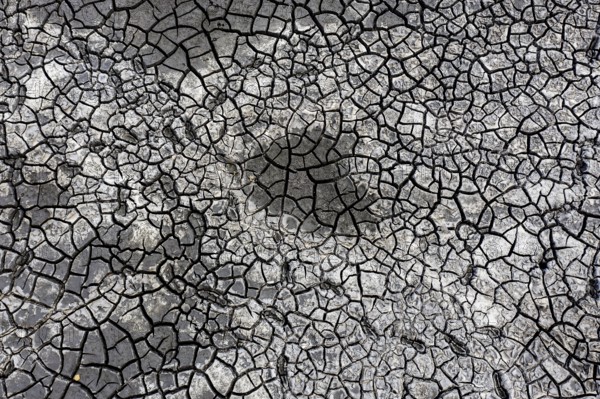 The bottom of a dried-up fish pond in Reckahn in Brandenburg looks like parched desert soil. The