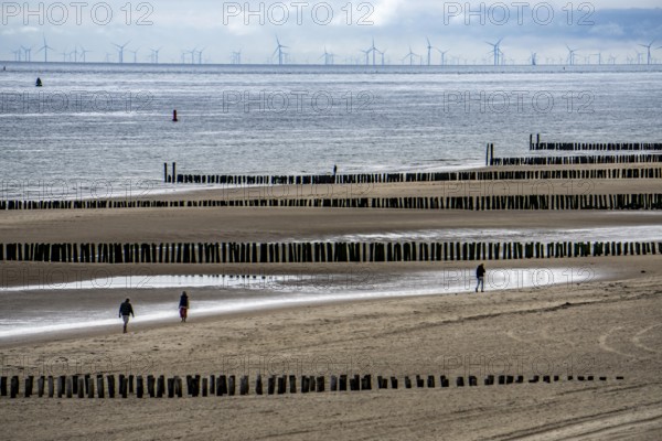 North Sea coast in Zeeland, called Zeeland Riviera, breakwater, made of wooden piles, near