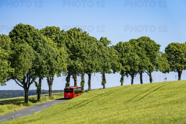 Country road between Hirschberg and Warstein, local bus, public transport, bus transport,