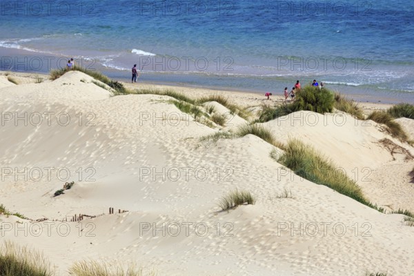 View from mobile dune to the sea, dune, coastline near Valdevaqueros, Tarifa, Costa de la Luz,