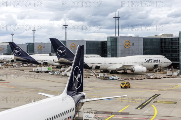 Lufthansa aircraft at the airport in Frankfurt, Germany, Europe