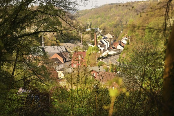 Iserlohn. This year's unusually warm weather in April has already given us a May. Nature exploded