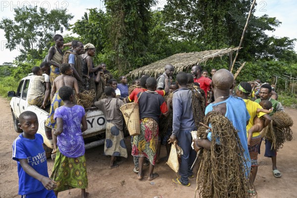 Pygmies of the Baka or BaAka people with their hunting nets on a pick-up truck, Bayanga,