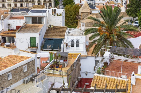 Above the rooftops of Eivissa's old town, Ibiza Town, Ibiza, Balearic Islands, Mediterranean,