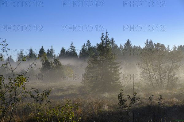 Sunrise with fog, in the Kirchsee Filzen, Kirchseemoor, near Sachsenkam, Tölzer Land, Alpine