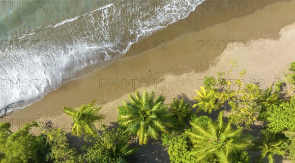 Aerial view, Top Down, Panorama, Marino Ballena National Park, Osa National Park, dream beach and