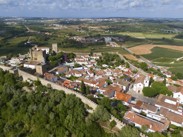 Aerial view of a town with red roofs, historical buildings and a castle, embedded in a green