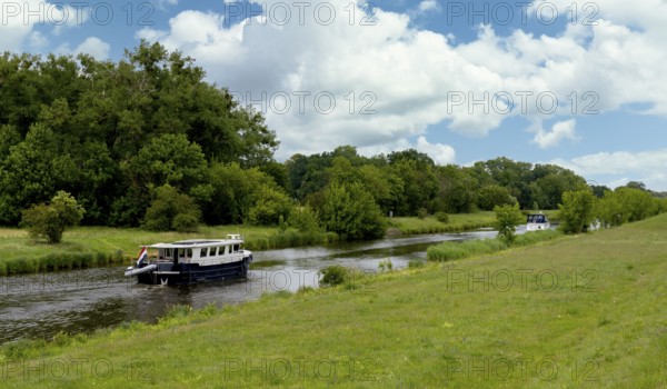 River in the Lower Oder Valley National Park, Criewen, Brandenburg, Germany, Europe