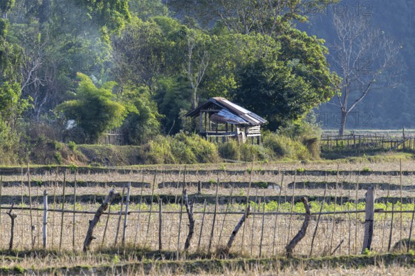 Harvested rice paddies with a small hut, Vang Vieng, Vientiane province, Laos, Asia
