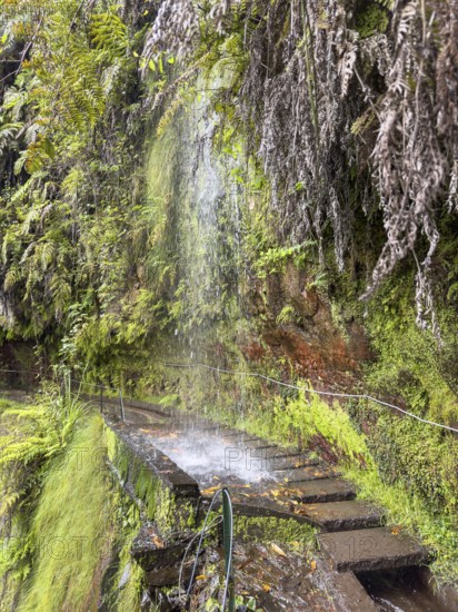 Hiking trail with waterfall on the Levada Nova and Levada do Moinho, Madeira, Portugal, Europe