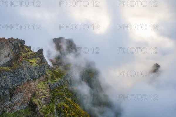 A mountain covered in fog and clouds with blooming Cytisus shrubs. Near Pico de Arieiro, Madeira
