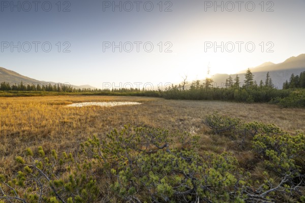 A wide landscape with a field and trees under a clear sky at sunset, Salzburg, Austria, Europe