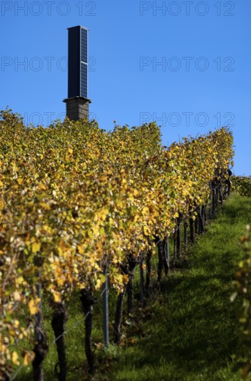 Station, solar tower for power generation using solar energy, vineyard, vines, grapevines,