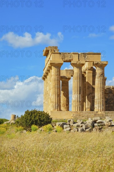 Temple of Hera or Temple E, Selinunte Archaeological Park, Selinunte, Trapani district, Sicily,