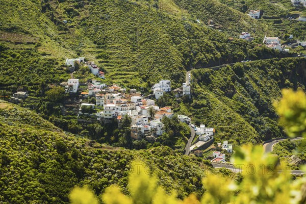 Taganana, Anaga Mountains, Tenerife, Canary Islands, Spain, Europe