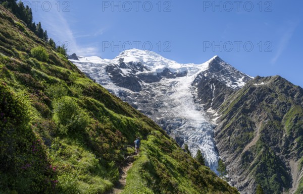 Hiker on hiking trail La Jonction, mountain landscape, view of glacier Glacier de Taconnaz,