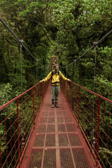 Young man, tourist on red suspension bridge between the treetops in the rainforest, Monteverde