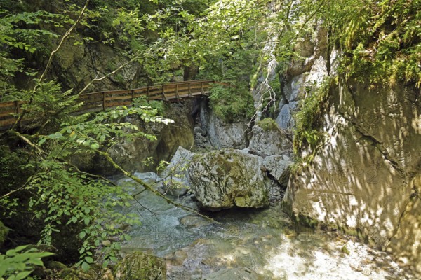 Seisenbergklamm gorge, natural monument, Pinzgau, Salzburger Land, Austria, Europe