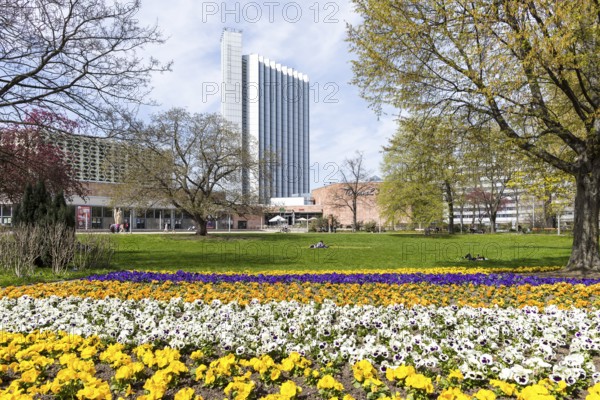 Spring planting with pansies (viola) in the city centre with visual axis to the civic hall and the