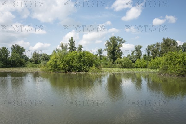 Parco del Mincio, Mantua, Italy, Europe