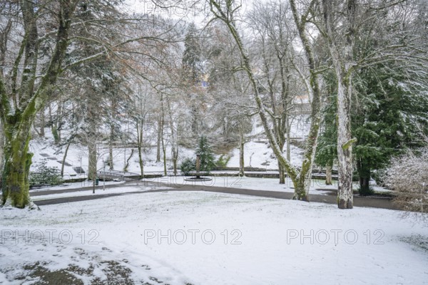 Snowy park with bare trees and walking paths on a wintry day, spa garden, Bad Wildbad, Black