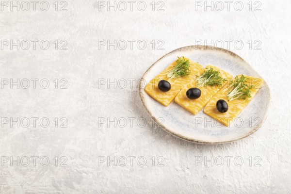 Marble cheese with olives and watercress microgreen on gray concrete background. side view, copy