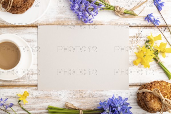 Gray paper sheet with oatmeal cookies, spring snowdrop flowers bluebells, narcissus and cup of
